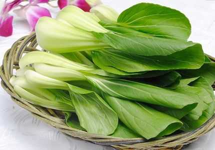 盆栽小白菜苗发黄是什么原因,种植小白菜叶子发黄怎么回事