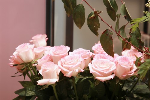 roseonly全球首家专卖店,roseonly官网专卖店