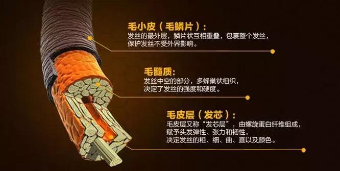 学会吹卷发,怎么把头发吹成烫了的发型