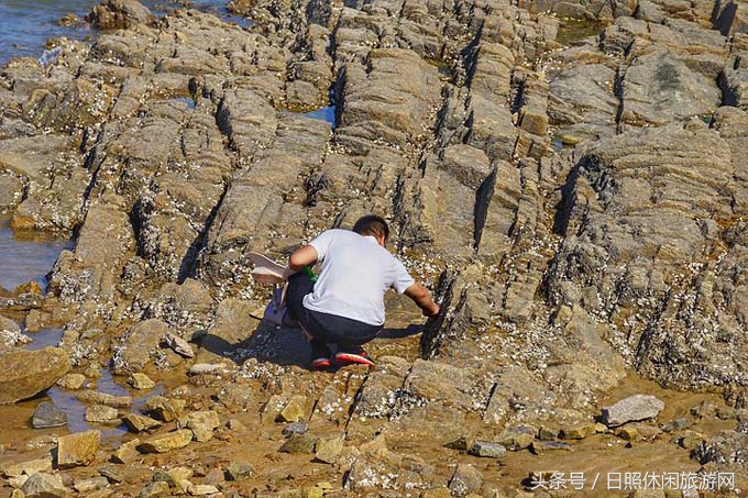 日照直播,日照房价
