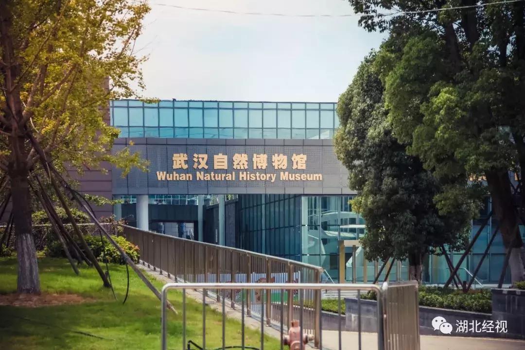 机票什么时候可以免费退改签,民航局最新通知折扣机票可以退吗