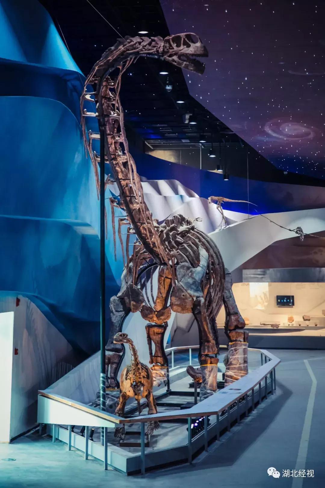 民航局要求退机票,民航取消机票改签不需要补差价吧