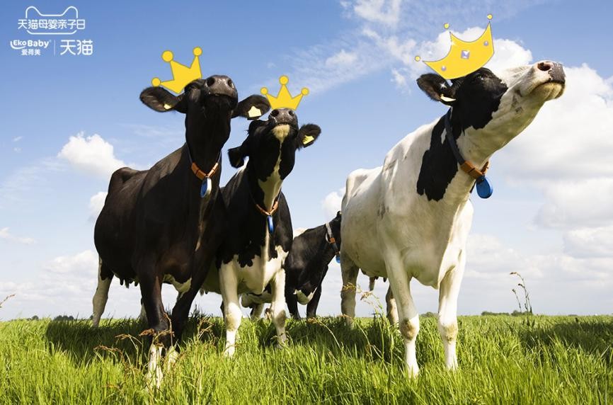 有机奶粉生产流程,深度解析有机奶粉