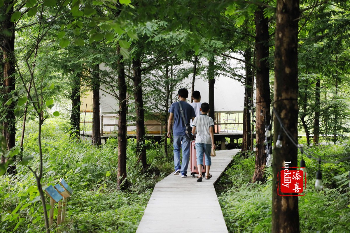 义远农场亲子探险露营：帐篷、萤火虫、足球冰淇淋、竹水枪、采摘