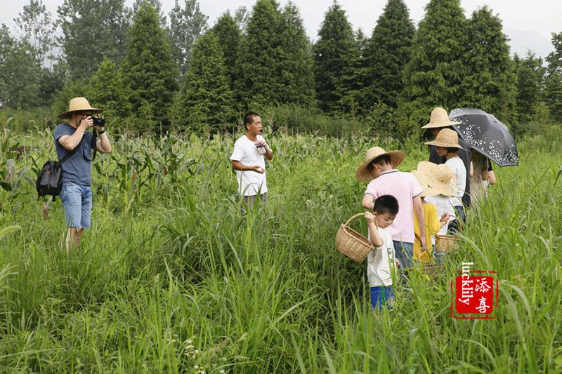 义远农场亲子探险露营：帐篷、萤火虫、足球冰淇淋、竹水枪、采摘