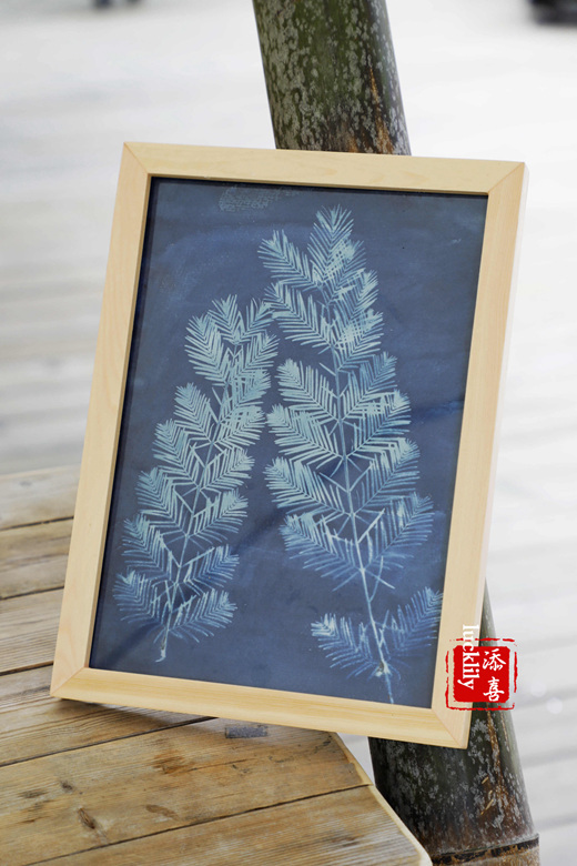 义远农场亲子探险露营：帐篷、萤火虫、足球冰淇淋、竹水枪、采摘