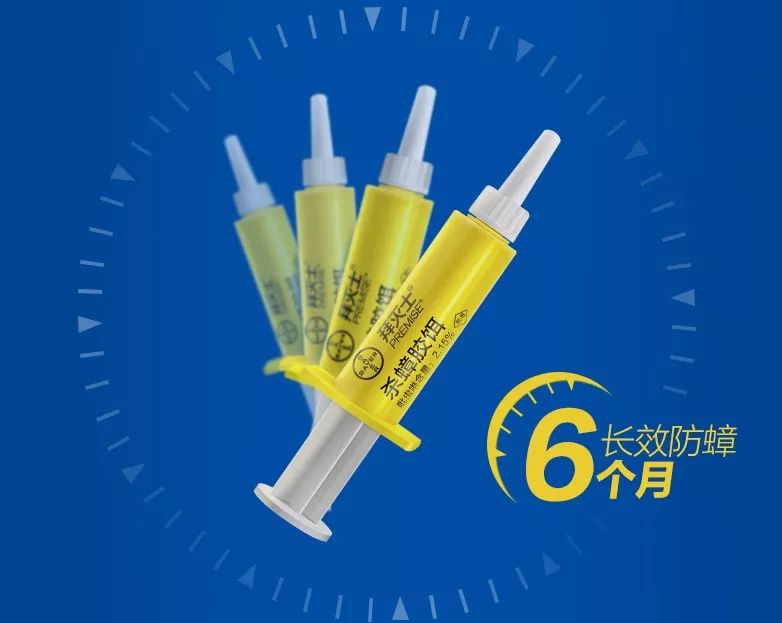 杀蟑胶饵用多久能把蟑螂彻底清除,杀蟑胶饵高效率除蟑螂