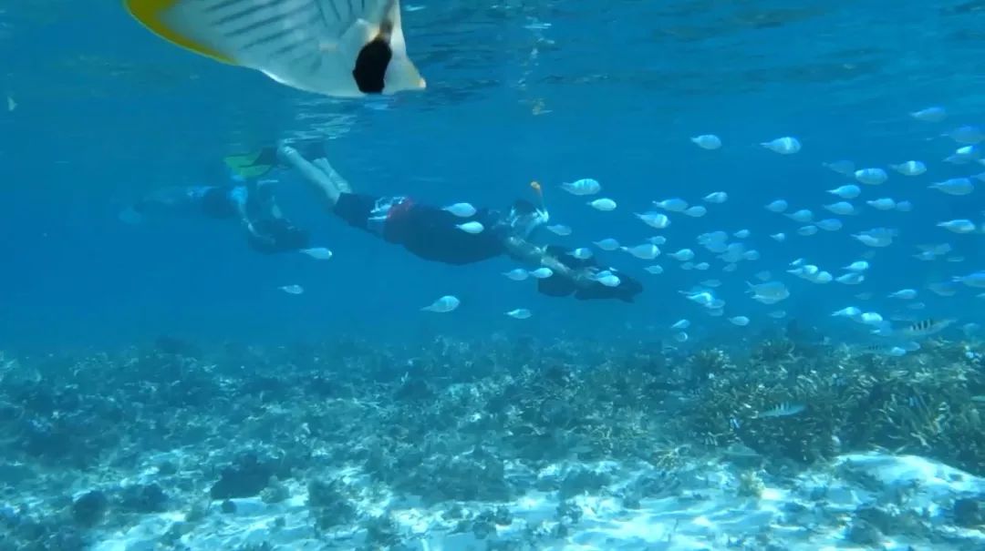 最顶级的海岛,离天堂最近的地方终极海岛大溪地