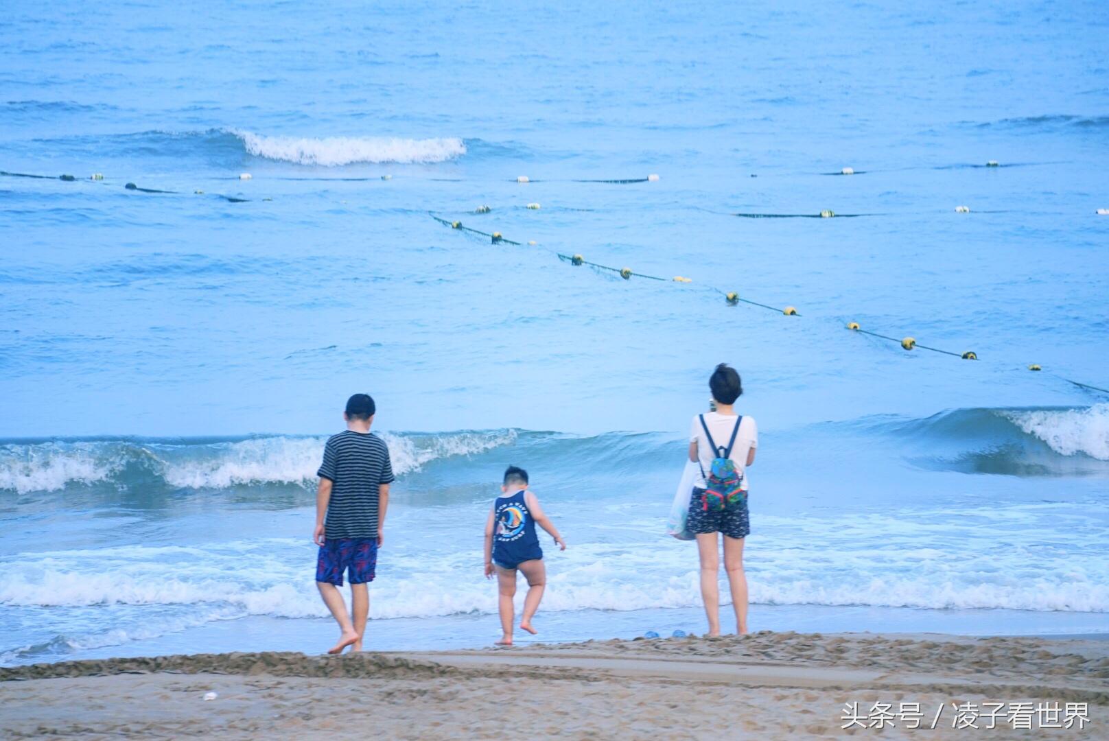 沙滩拾贝壳景区,沙滩花海美景