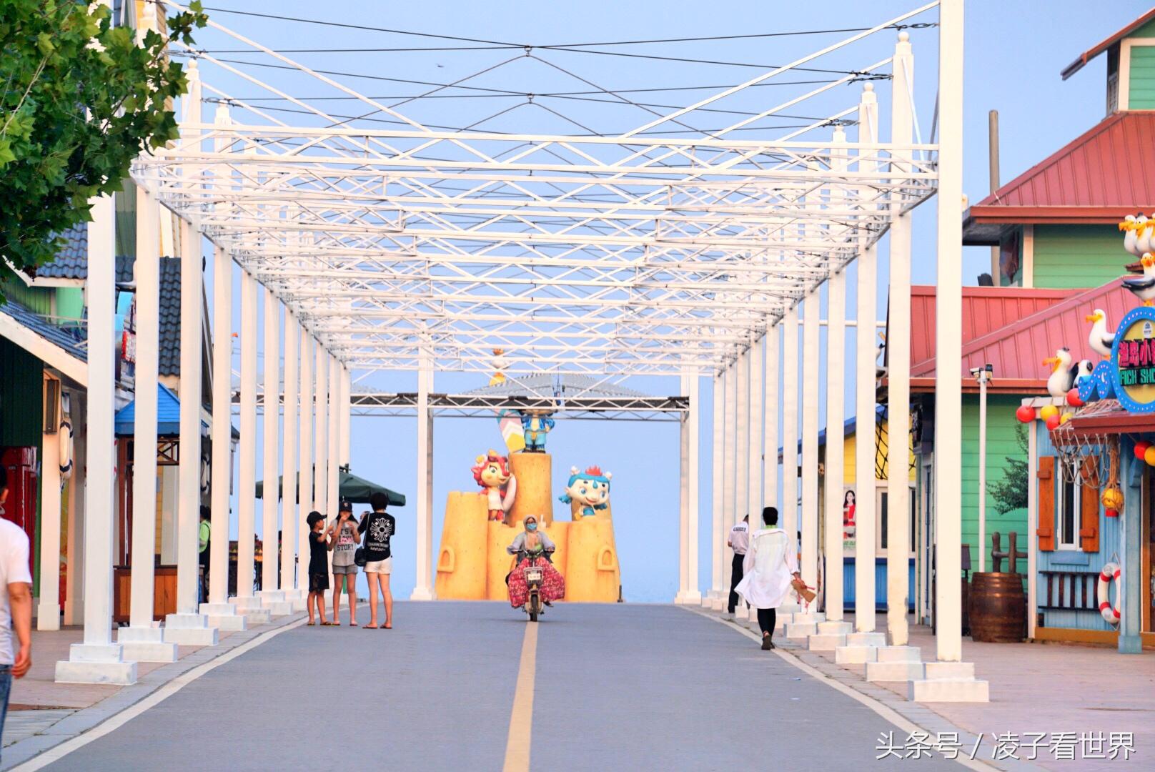 沙滩拾贝壳景区,沙滩花海美景