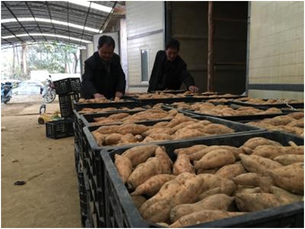 阿里助力农村发展,电商助力贵州乡村振兴