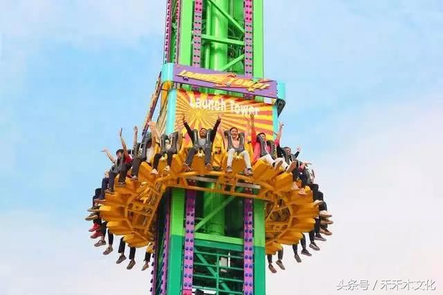 黄可乐发现一个秘密花海基地,让所有的小朋友都带爸爸妈妈来