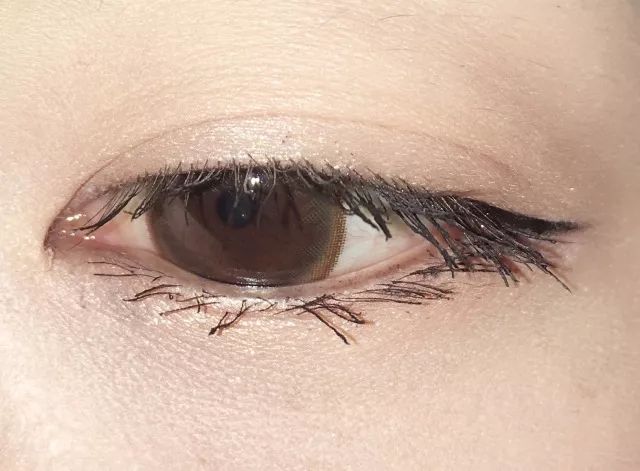 睫毛膏10大品牌推荐,平价卷翘睫毛膏测评