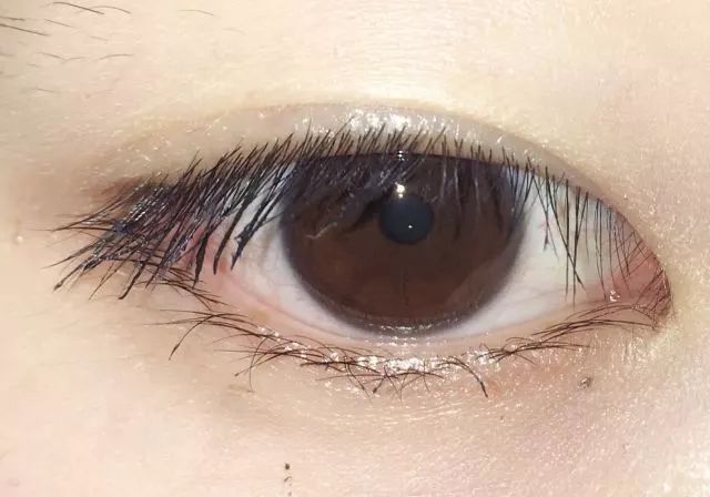 8款热门睫毛膏专业测评，Angelababy最爱的睫毛膏居然垫底了！