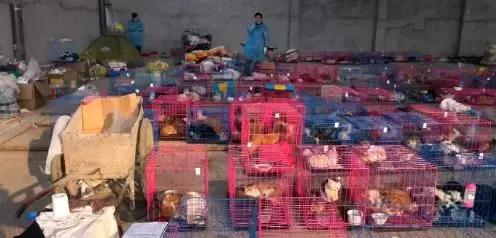 我不能怂歌曲,我不能怂攻略