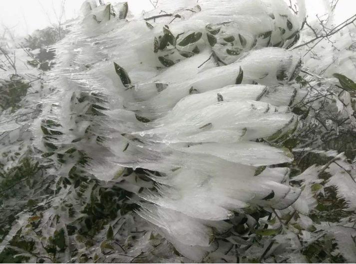 20岁应该去哪里旅游,20岁适合去哪些地方旅游