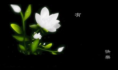 每日一歌红颜知己完整版,每日歌曲推荐红颜知己