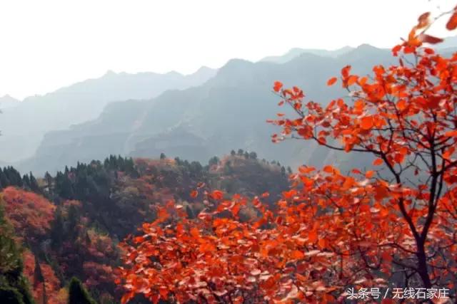 我们向全世界发出邀请！2019，欢迎您来到石家庄！