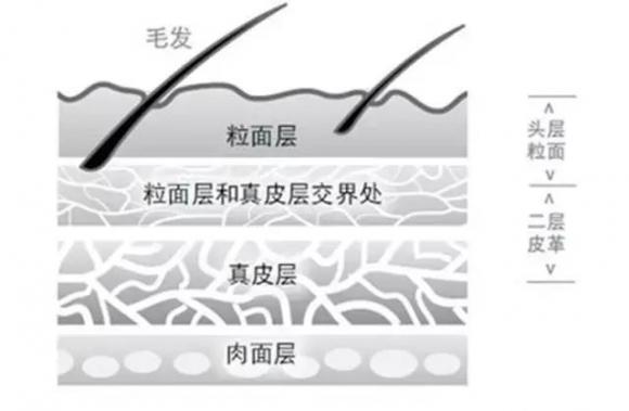 alcantara和纳帕真皮哪个更贵,nappa真皮和claudia真皮哪个好