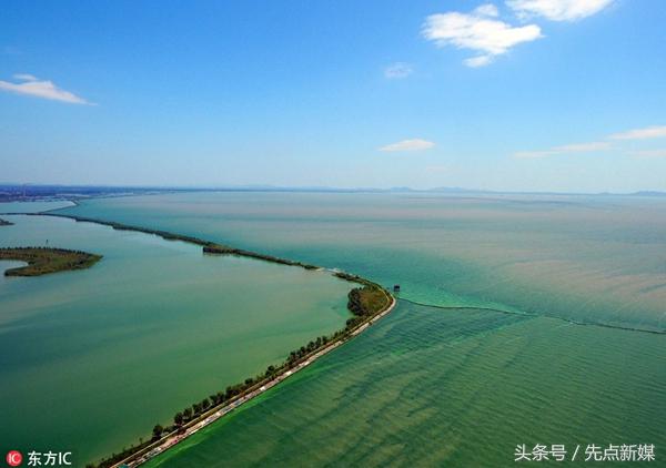 夏季巢湖西北岸蓝藻集中的原因,高温天气巢湖蓝藻爆发