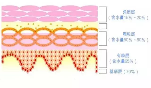 怎么知道去不去角质,教你如何正确去角质