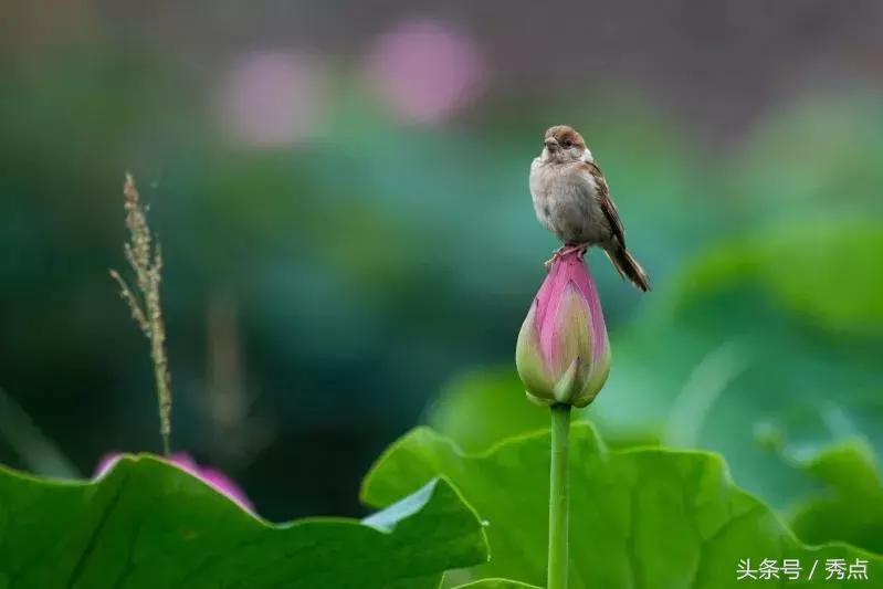铜川清凉玩水的地方,铜川夏日美景