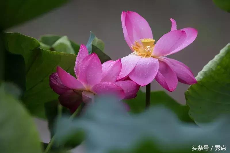 铜川清凉玩水的地方,铜川夏日美景