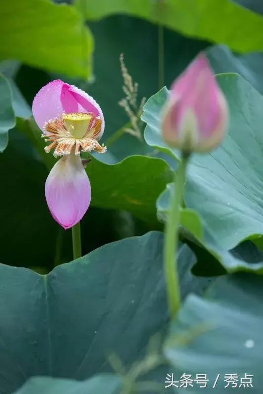 铜川清凉玩水的地方,铜川夏日美景