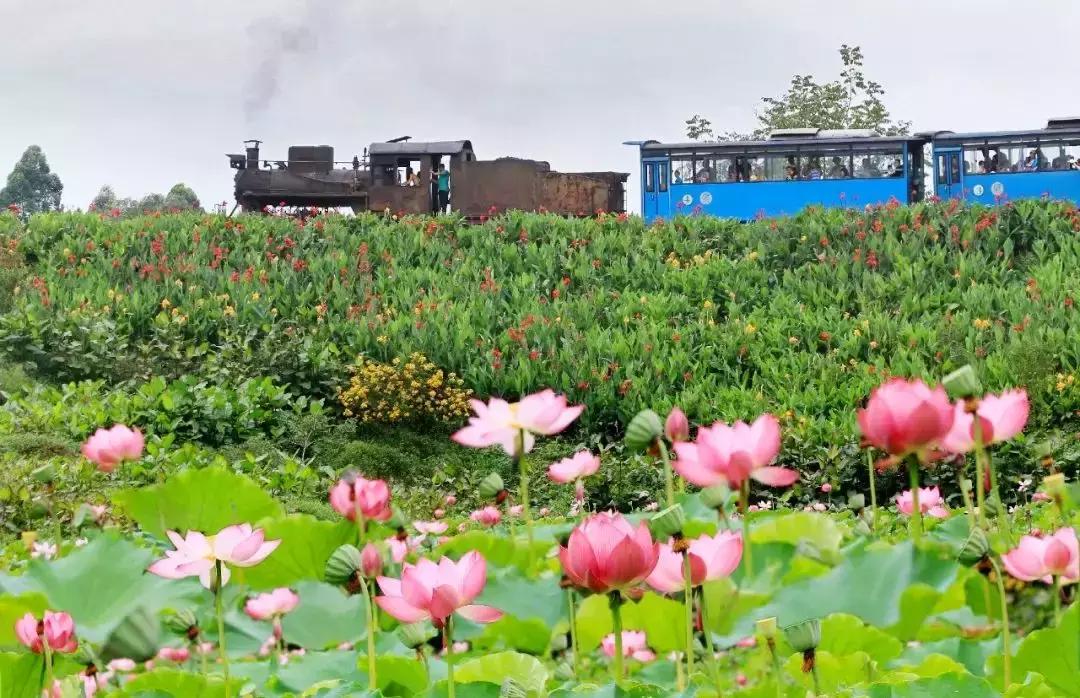 藏不住了重庆这个小城太美了,藏不住了四川话