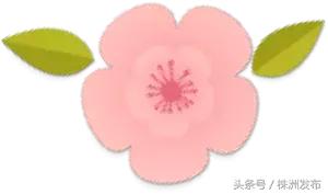 没错，湖南省就是当之无愧的教育大省！