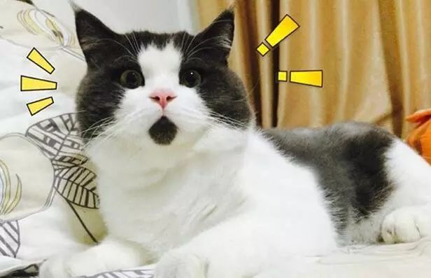 鏈夌洍鐢ㄨ闊冲井淇¤楠楅挶鐨勫悧,灞卞寰俊杞彂璇煶琚獥