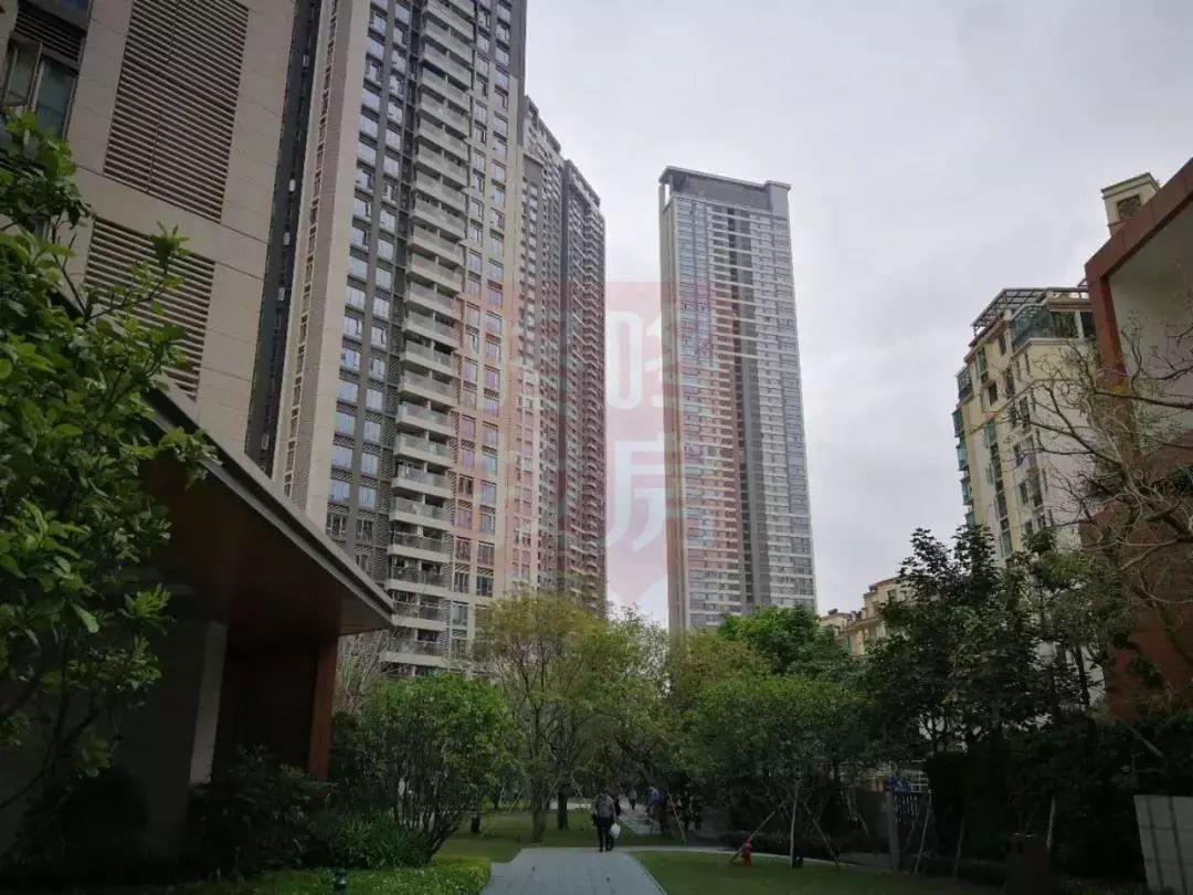 800万起南山科技园学位房如何选,南山区800万的商品房