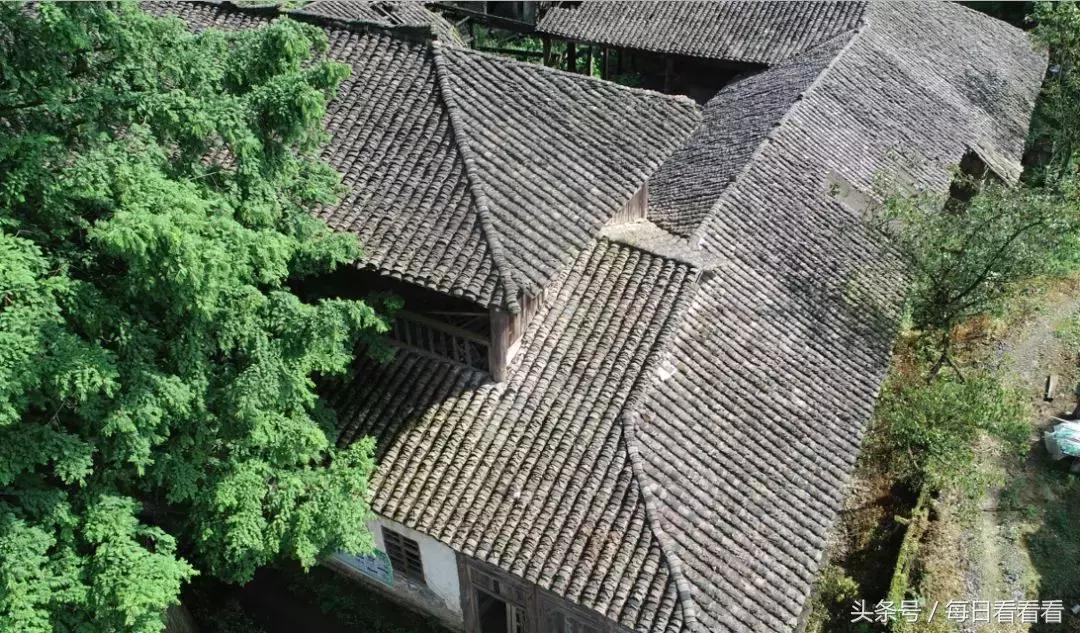 利川著名的油菜花田,利川花海在几月份