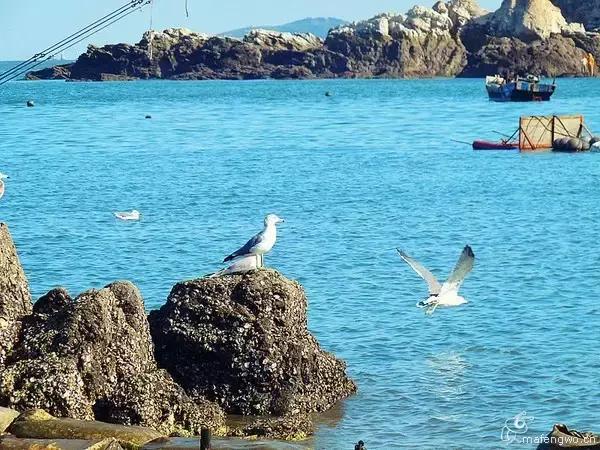 不用签证就能去的国家,不用签证的岛