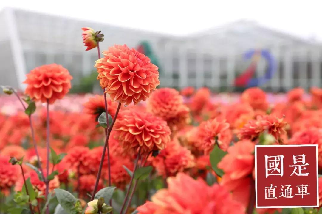 云南有条“华尔街”，交易的却不是股票