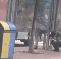 注意！这群人靠*拍偷**女生裙底月入过万！