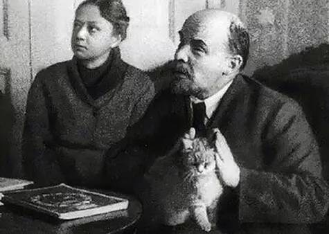 男不养猫？你这么会讲话，一定没有姑娘要你这条单身狗吧