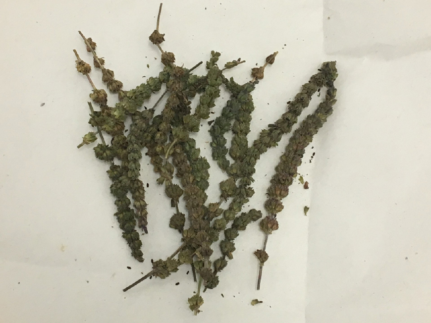 湿疹止痒最快的喝什么汤,湿疹止痒食疗