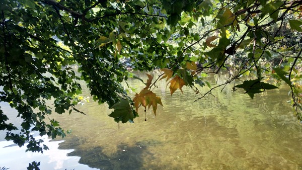 高冠瀑布风景,高冠瀑布游记