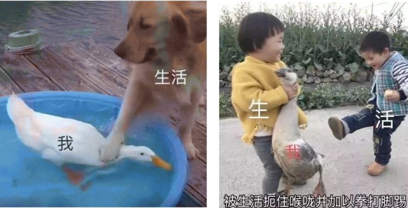 我不是药神但愿人无病,我不是药神只要平凡