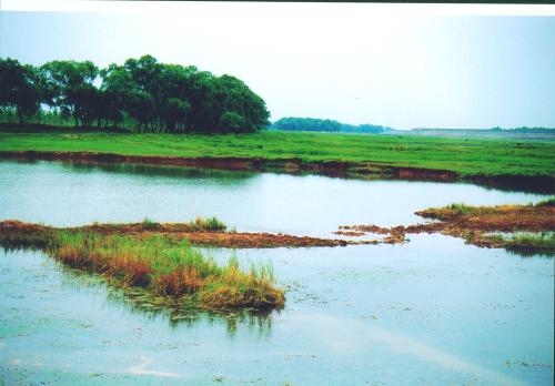 你不知道藏在古诗词里的地名,古诗中的冷门绝美地名