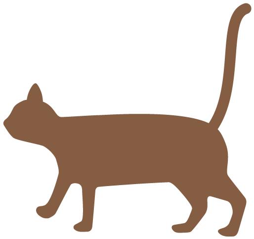 2020上海徒步活动地点推荐,上海宝山徒步旅行