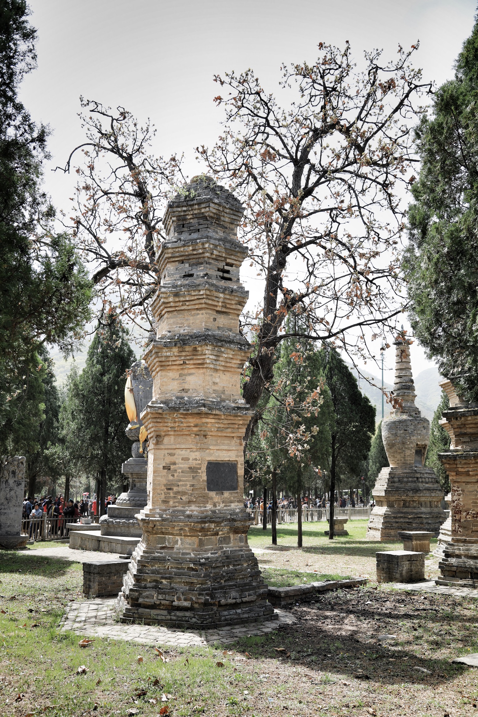 哪些地方有塔林,什么是塔林