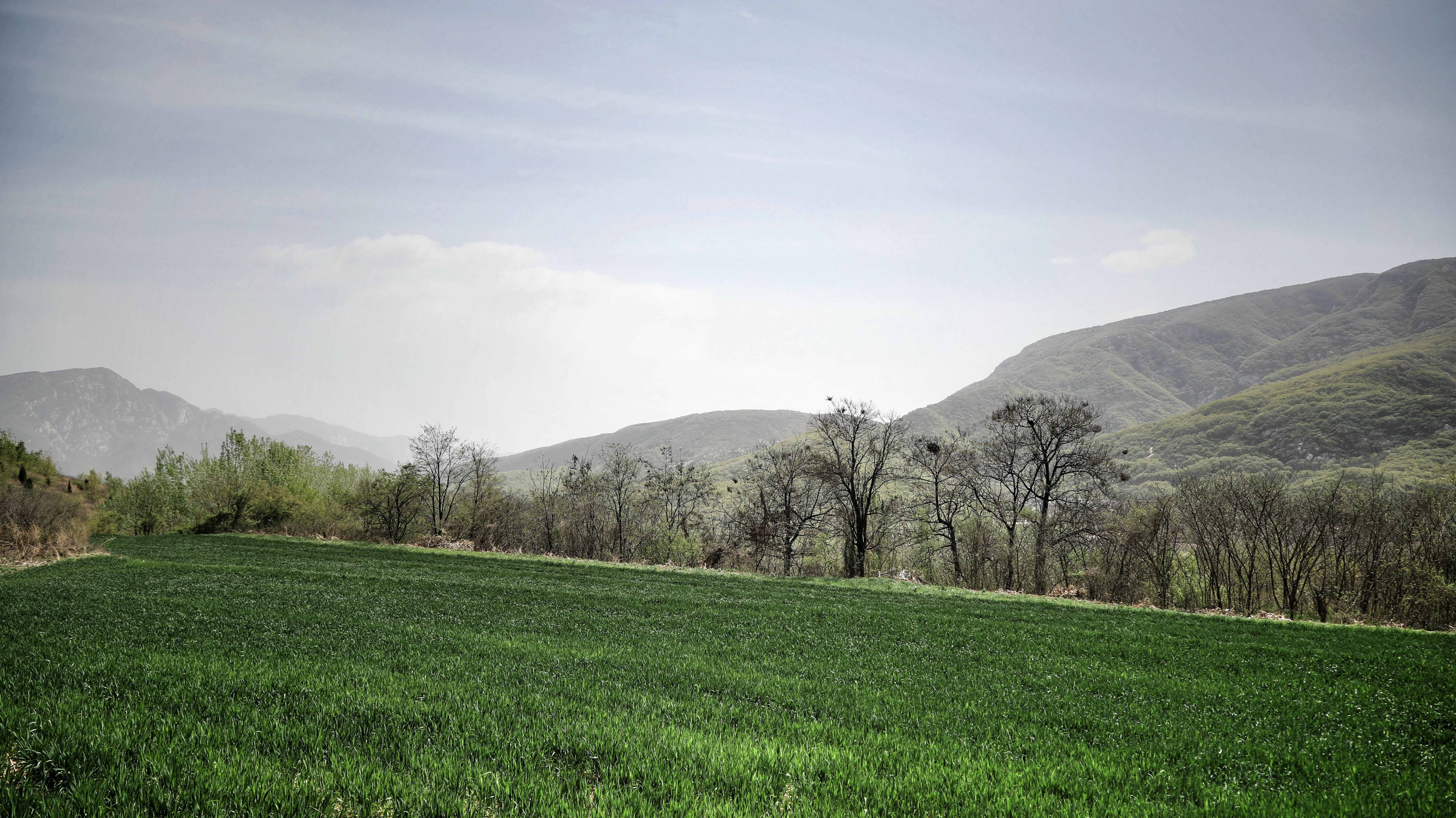 哪些地方有塔林,什么是塔林