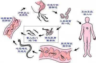 6岁男孩屁臭,6岁男孩屁多怎么回事