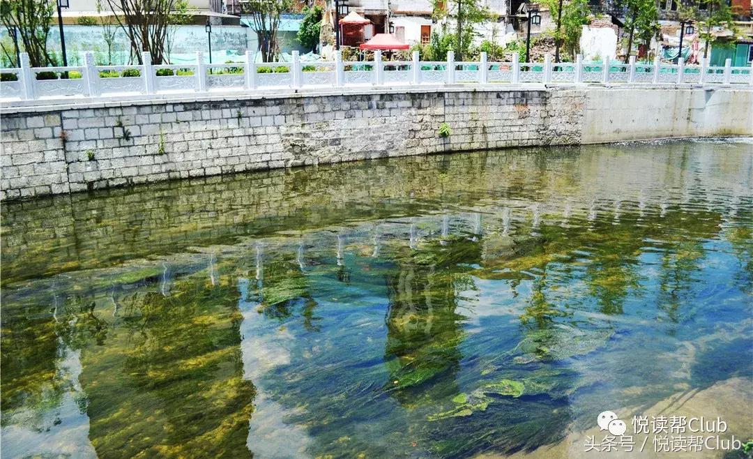 复兴安顺贯城河，保护我们的母亲河，每位安顺人责无旁贷！