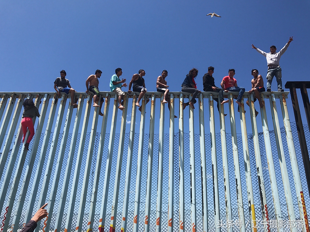 2020年ipa摄影奖获奖作品,ippa摄影大赛获奖作品2010