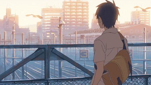 鏌冲窞骞冲潎宸ヨ祫2024,鏌冲窞2024浜哄潎宸ヨ祫