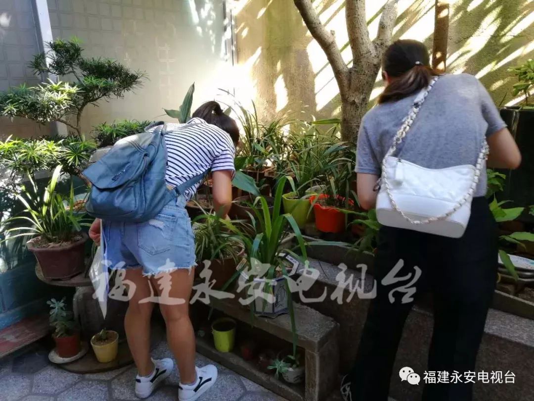 近期出现的毒虫,三明市永安区疾控中心