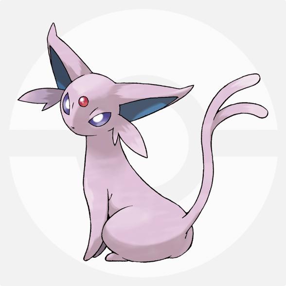 都有哪些宠物小精灵,十大最火的宠物小精灵